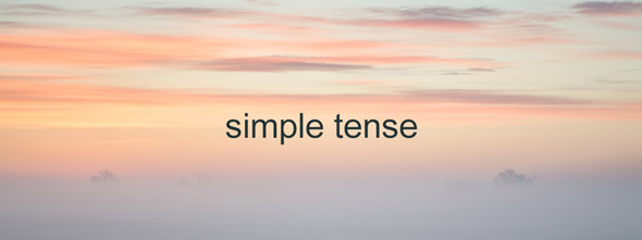 5 Simple Tense Verb Rules