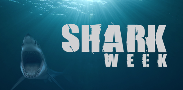 A Listening Activity for Shark Week